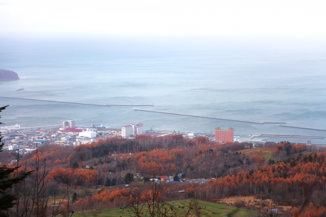 毛無峠 国道393号