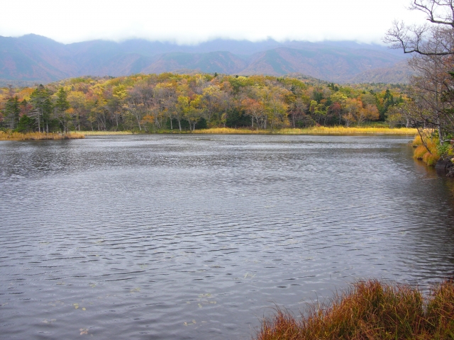 知床五湖 道道93号