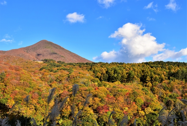 磐梯山ゴールドライン