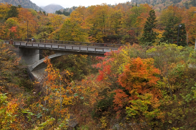 薬研渓流・恐山 県道4号