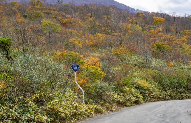 笹谷峠 国道286号旧道