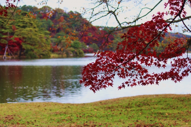 白川湖