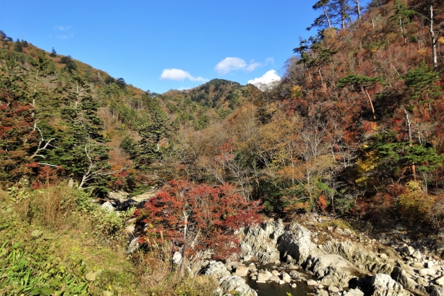 夏井川渓谷 県道41号