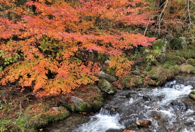 花園渓谷 県道27号