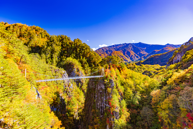 瀬戸合峡 県道23号
