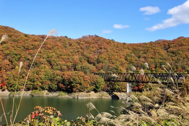 湯西川 県道249号
