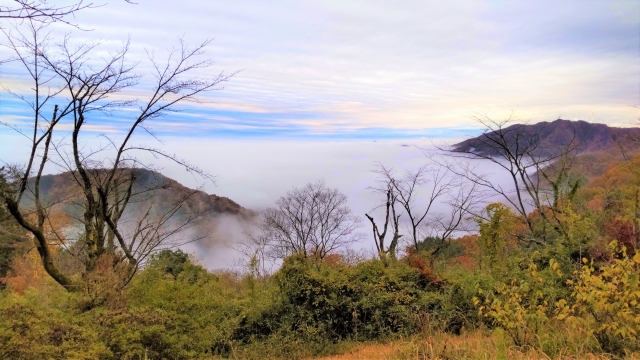 太平山 遊覧道路