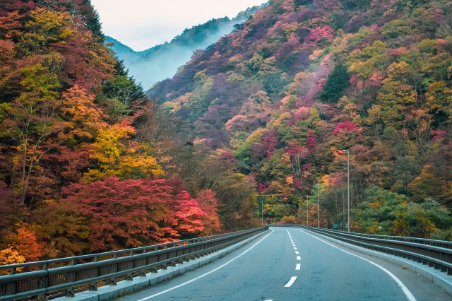 暮坂峠 県道55号