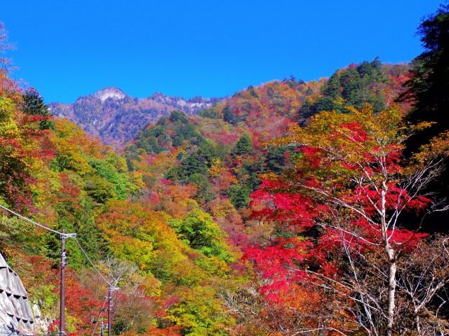 中津峡 県道210号