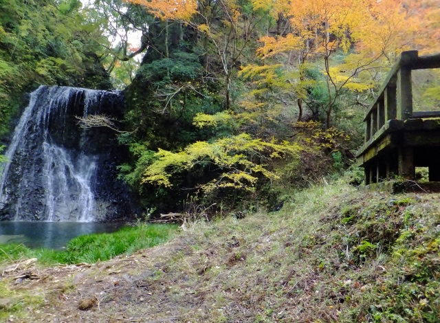 清澄養老ライン 県道81号