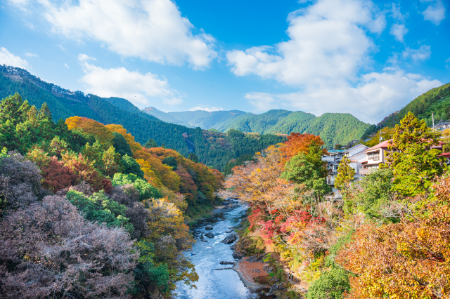 御岳渓谷 国道411号