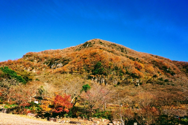 椿ライン 県道75号