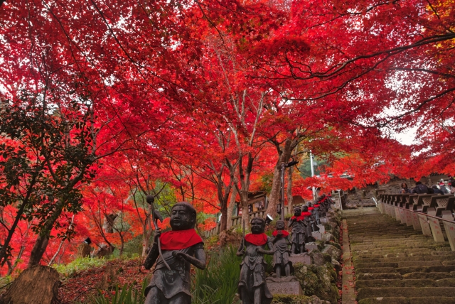 大山 県道611号