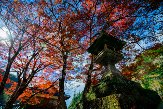 奥三河 鳳来寺山〜四谷千枚田