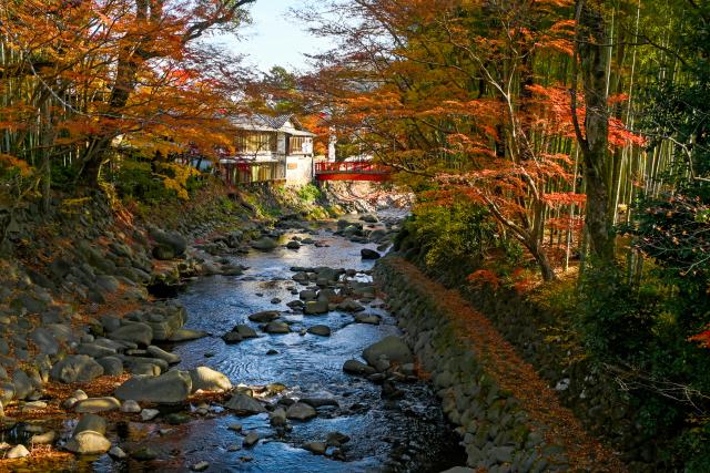 修善寺〜戸田峠