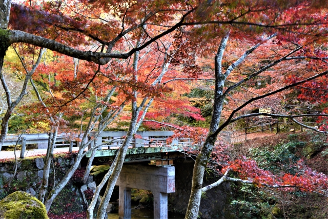 岩屋堂