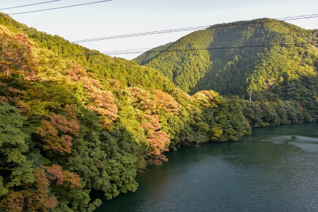 揖斐峡〜徳山ダム 国道303号