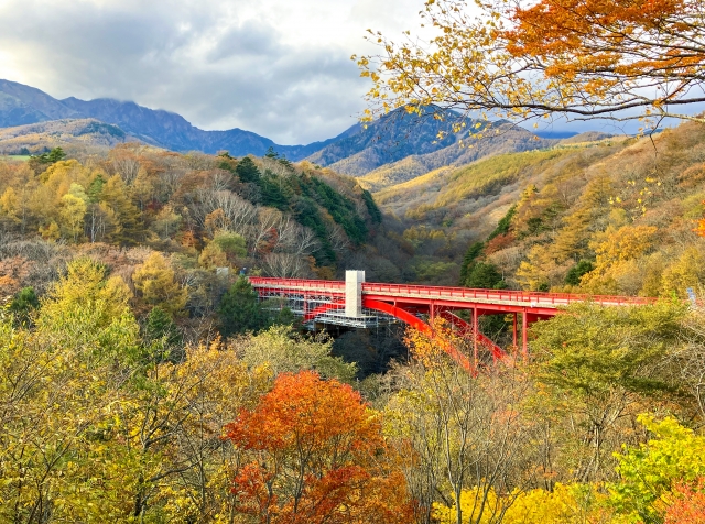 八ヶ岳高原ライン 県道11号 (東沢大橋)