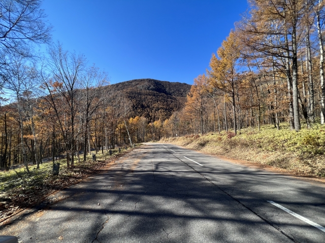 高峰高原 チェリーパークライン (車坂峠)