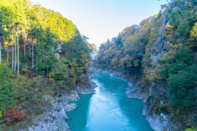 天竜峡 (見ごろ要確認)