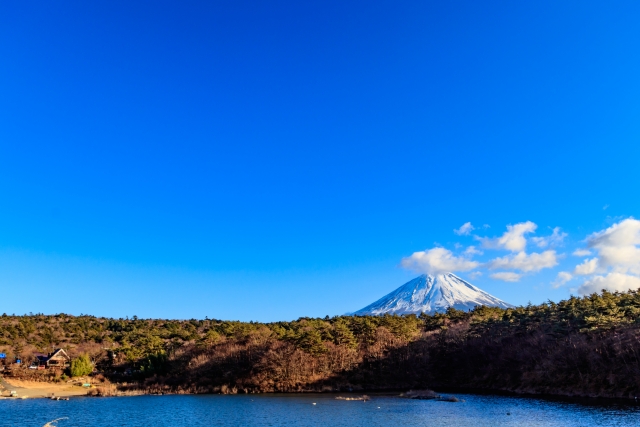 精進湖線 国道358号