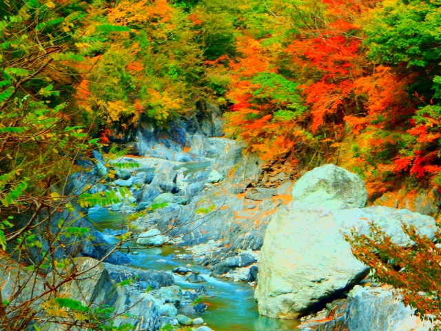 奈良田 県道37号