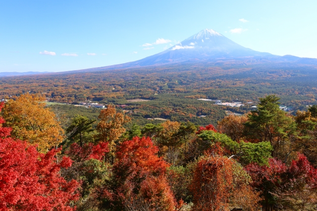 紅葉台 国道139号