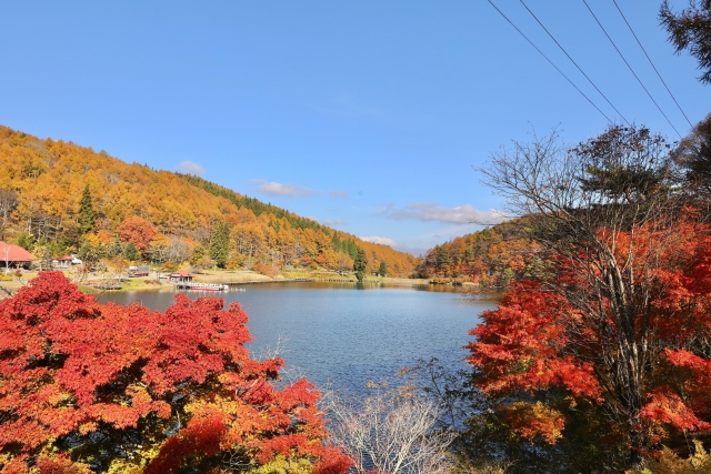 聖高原〜差切峡 国道403号
