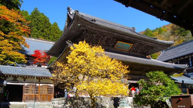 永平寺〜一乗谷