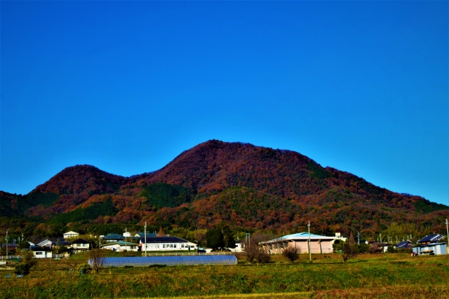 二上山万葉ライン