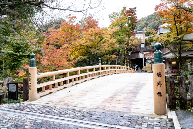 山中温泉〜大内峠 国道364号