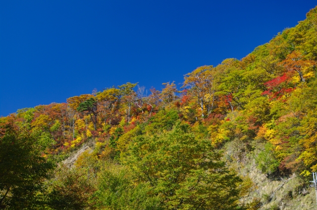 高野龍神スカイライン 国道371号