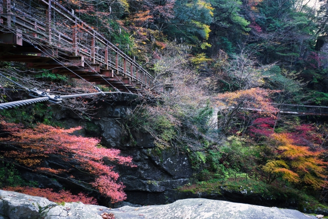 みたらい渓谷・洞川温泉 国道309号
