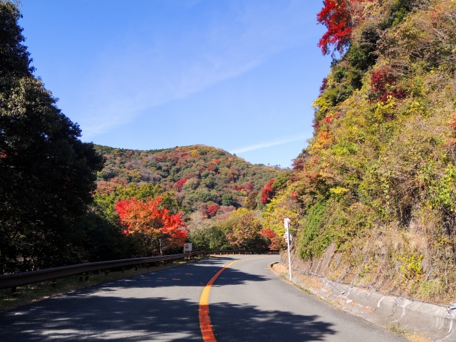 箕面ドライブウェイ 府道43号 (サイクリストのみ)
