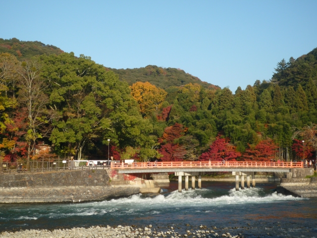 宇治川ライン 府道3号 (二輪規制 要確認)