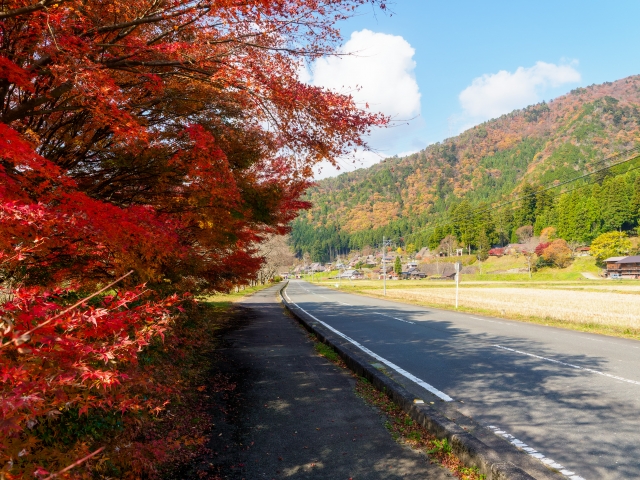 京都広河原美山線 府道38号