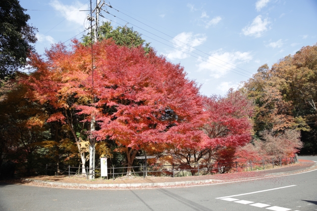木津川 国道163号 笠置