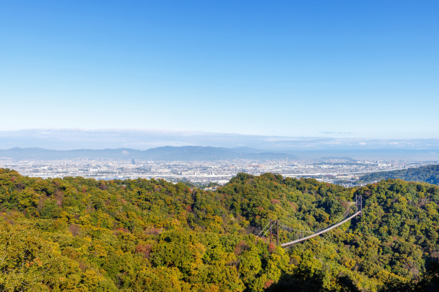 磐船街道 国道168号