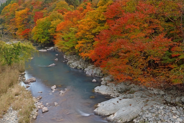 波賀〜音水湖〜戸倉峠 国道29号