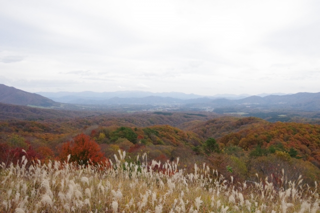 蒜山大山スカイライン (鬼女台)