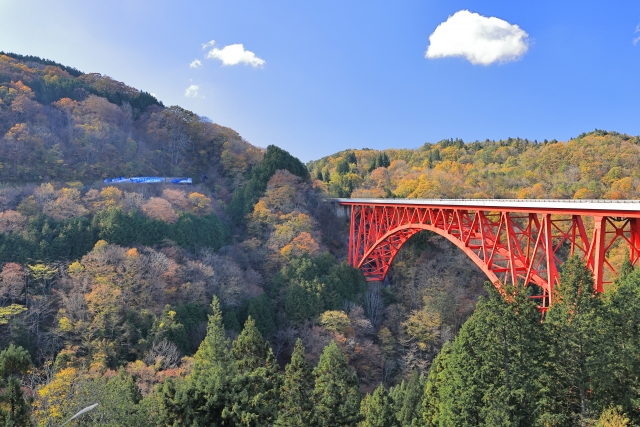 奥出雲おろちループ 国道314号