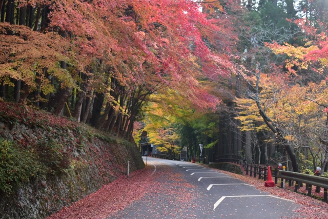奥津渓 国道179号 (大釣橋)