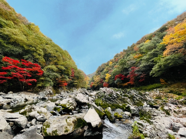 長門峡 国道9号
