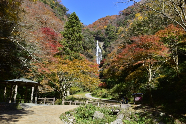 神庭の滝 県道201号