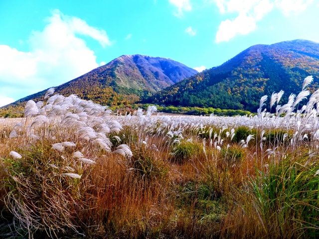 三瓶山 周回