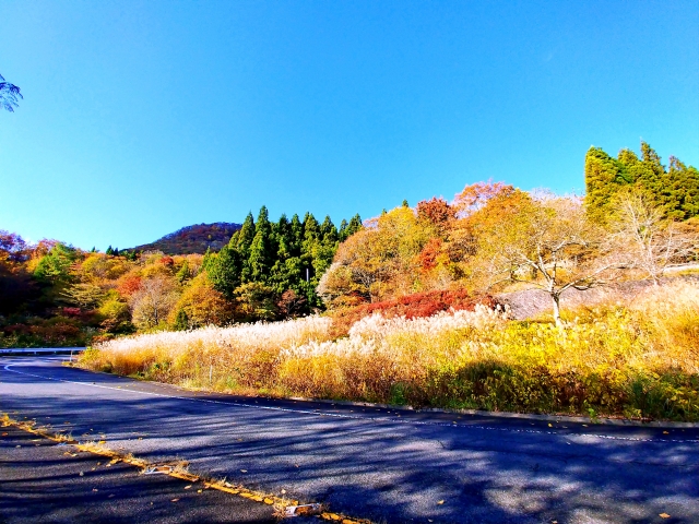 大山環状道路 北面 一息坂峠