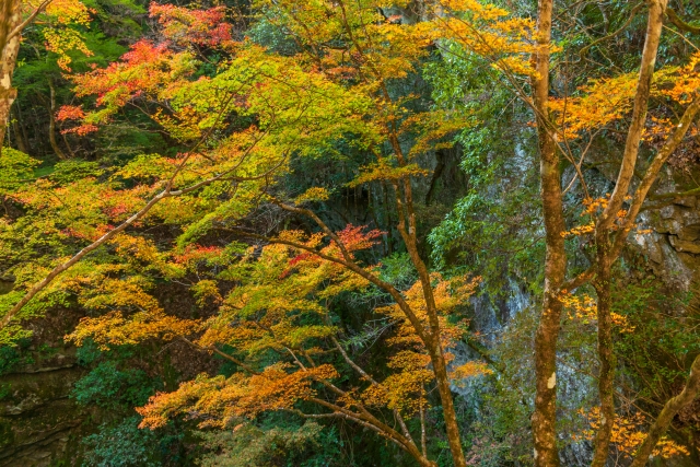 深山峡