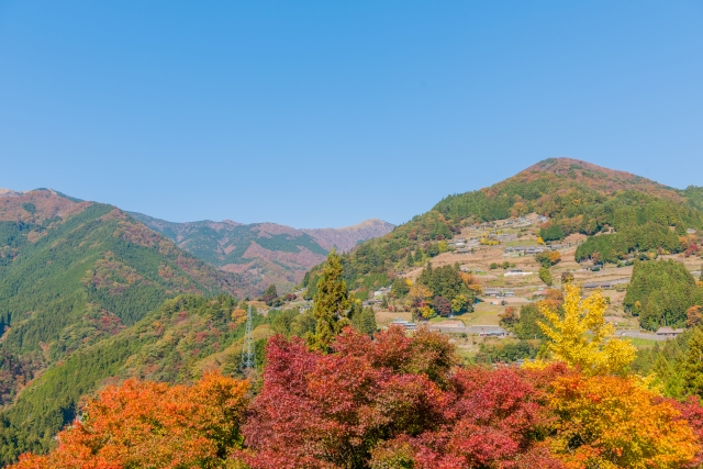 大歩危・小歩危〜祖谷 国道32号