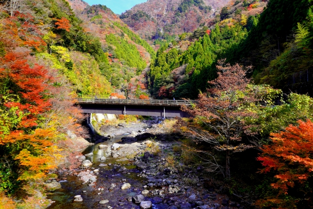 国道195号