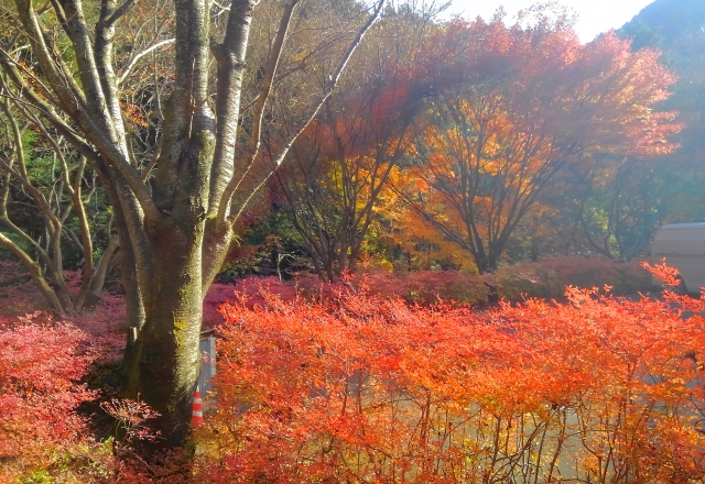 鈍川渓谷